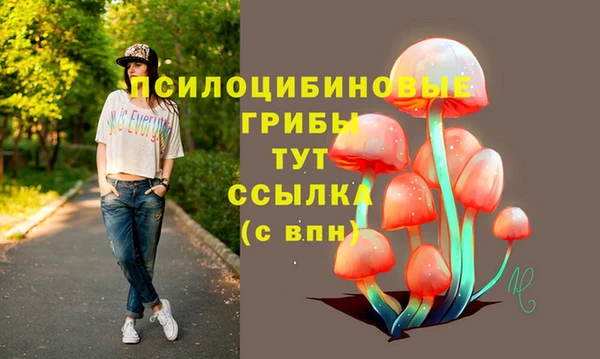 2c-b Абаза