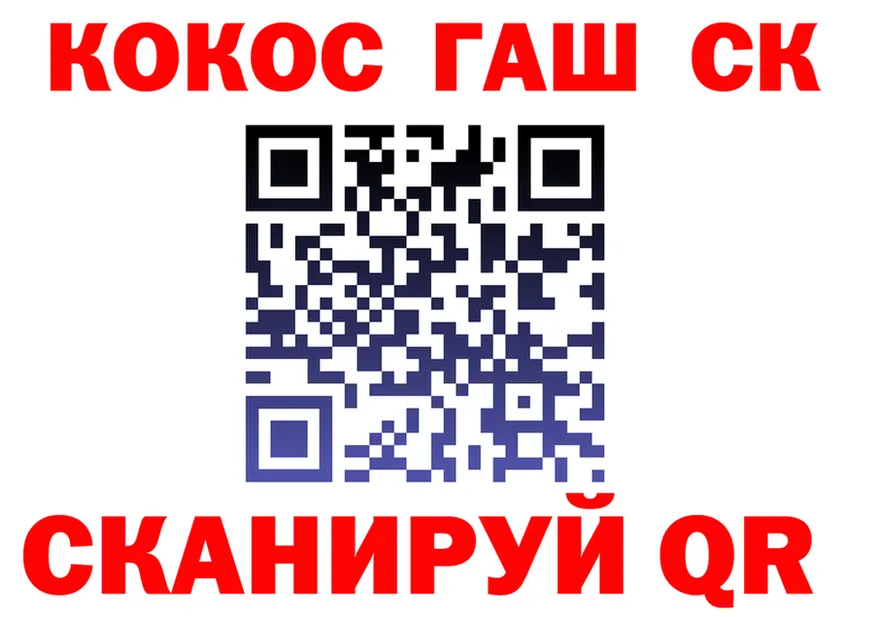 Альфа ПВП мука ТОР площадка мега Цоци-Юрт