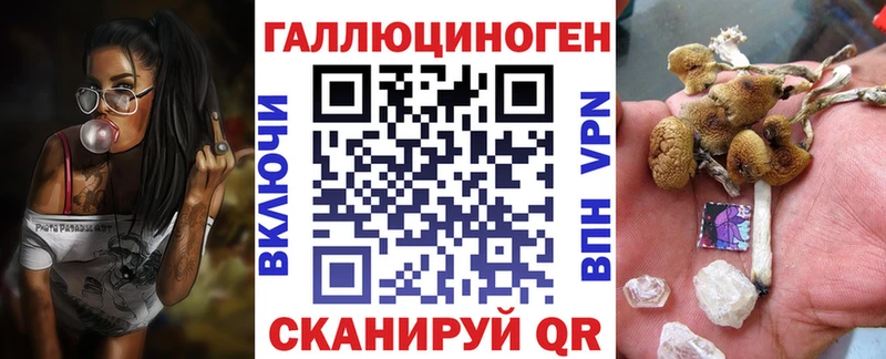 гидра ссылка  Цоци-Юрт  Галлюциногенные грибы Cubensis 